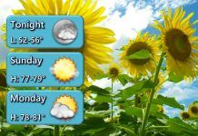 NWS: Mild, sunny, and dry weather this weekend