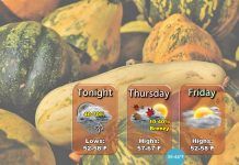 NWS: Rain returns overnight, cooler temps follow