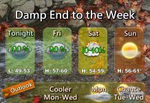 NWS: Light rain will persist through Friday night