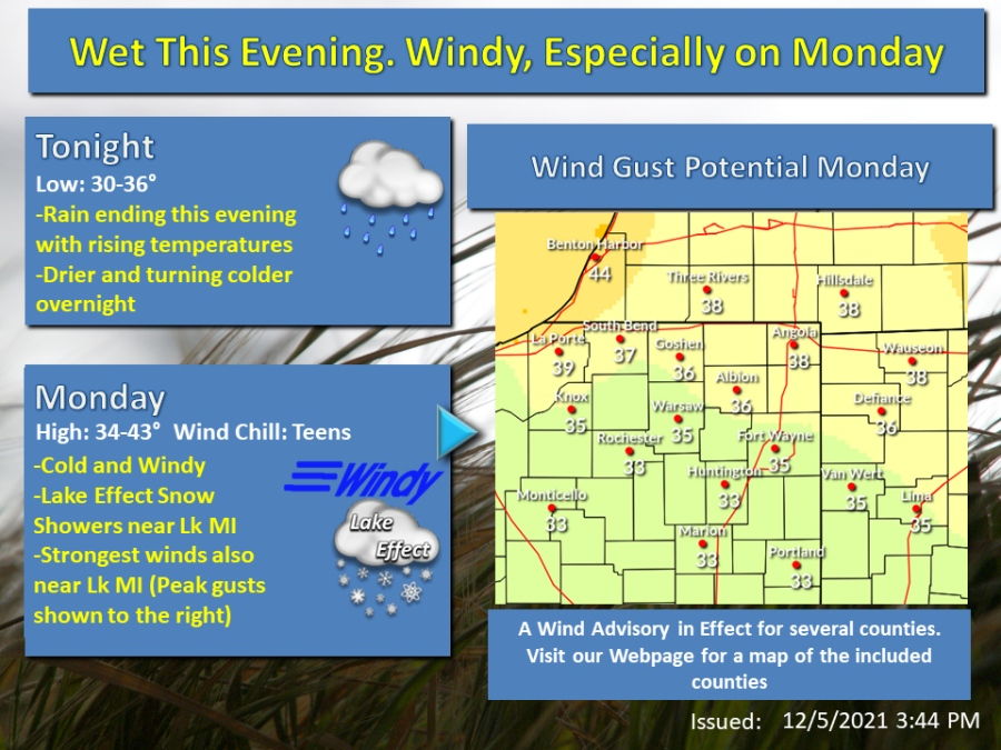 light rain and showers