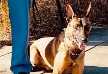 ISP Fort Wayne Post welcomes new K-9 Team