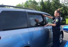 Protect your pets from the heat