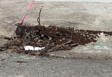 Debris from weekend storms requires drain action