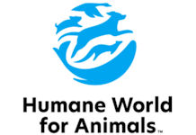 Rescuers assist with suspected dogfighting operation