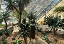 Botanical Conservatory reimagines the Desert House