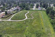 Colonial Heritage Urban Wetlands enhanced with AARP grant
