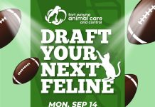 Draft your next feline event