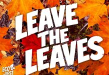 Providing an alternative to City’s annual leaf collection